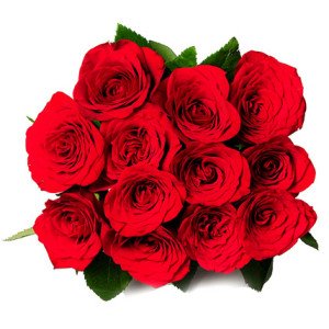 res rose bunch
